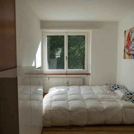 Spacious 2 Bedroom Engelberg