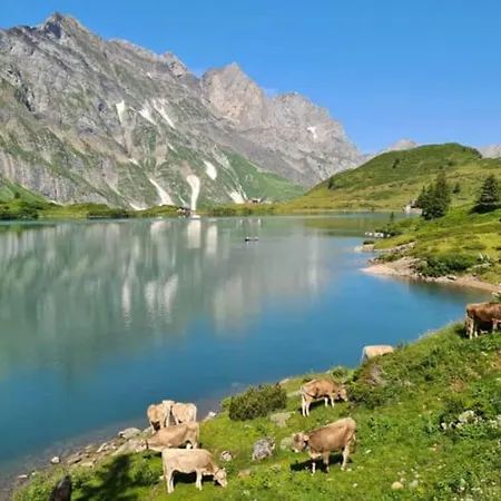 Appartement Spacious 2 Bedroom Engelberg