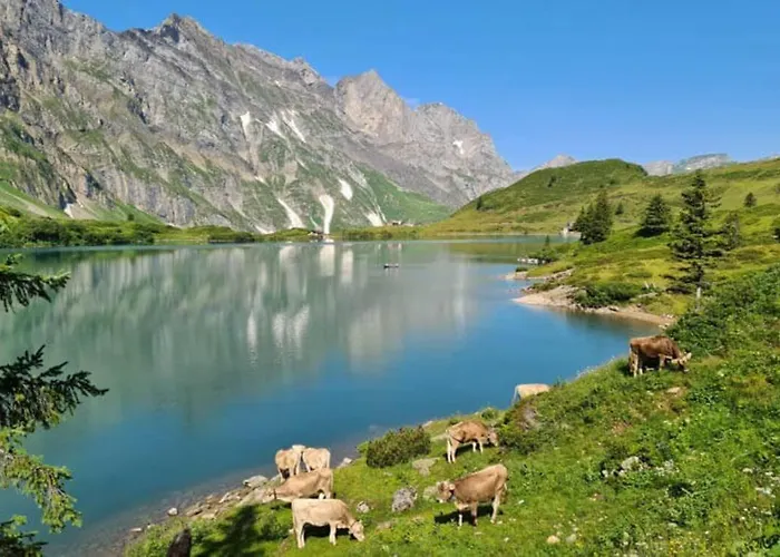 Apartment Spacious 2 Bedroom Engelberg